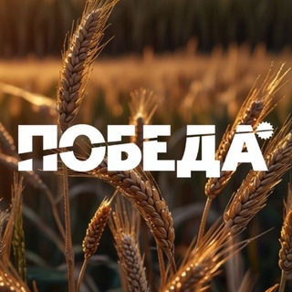Telegram profile photo for «Победа»