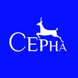 Telegram profile photo for Серна
