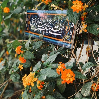 Telegram profile photo for يٱ صٱحۡب ٱلزمۘٱنۨہ"عجۚ " ³¹³