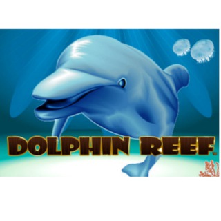 Telegram profile photo for dolphinreef666
