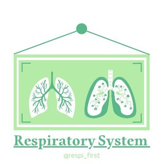 Telegram profile photo for Respiratory System