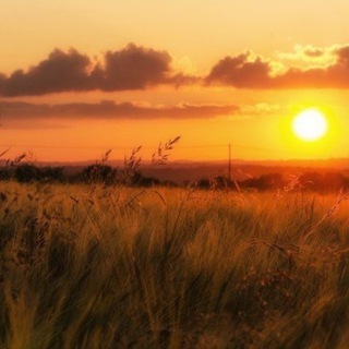 Telegram profile photo for В ᴦ᧐ᥴᴛя᥊ у ᥴκᥲᤋκᥙ☀️