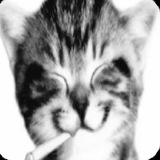 Telegram profile photo for egoyard