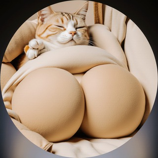 Telegram profile photo for 🔥HUSVJJAL husvjjal15 FAN