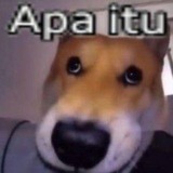 Telegram profile photo for Jeikeut