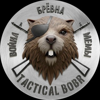 Telegram profile photo for TACTICAL BOBR 🦫