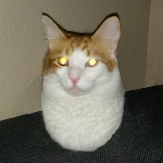 Telegram profile photo for гнег