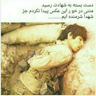 Telegram profile photo for شهدا شرمنده ایم