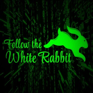 Telegram profile photo for WhiteRabbit canal officiel ๐โ๏ธ