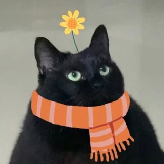 Telegram profile photo for 10-11 января FORS FEST (Triple F event) SPB
