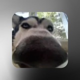 Telegram profile photo for Кадры Мии