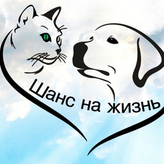 Telegram profile photo for ШАНС НА ЖИЗНЬ🐶🐈