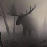 Telegram profile photo for (Meme+feels Research RD and developments)