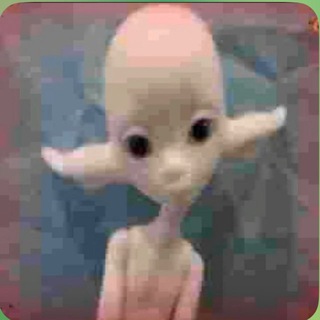 Telegram profile photo for Милки выводы