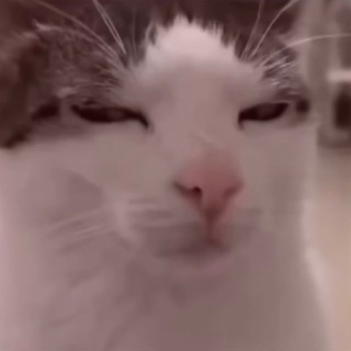 Telegram profile photo for PIKSO Mode