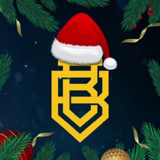 Telegram profile photo for BİBU RESMİ