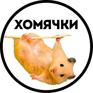 Telegram profile photo for Хомячки