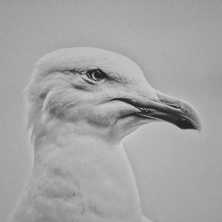 Telegram group profile photo for sergey_lyubachenko_chat