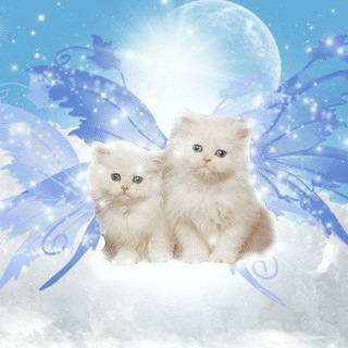 Telegram profile photo for ๐๐๐๐-๐๐๐๐.๐๐๐