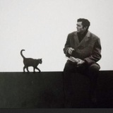 Telegram profile photo for BIR жағalau