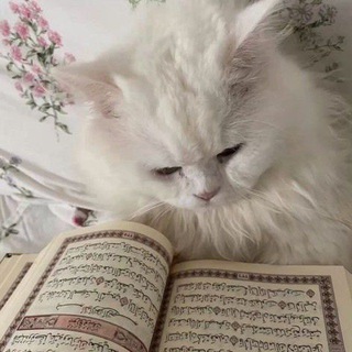 Telegram profile photo for نفحات إيمانية
