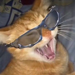 Telegram profile photo for Котопсы