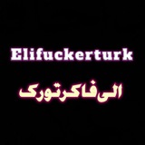 Telegram profile photo for الی فاکرتورک