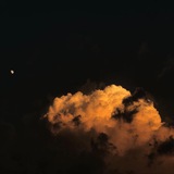 Telegram profile photo for فصحى |ڤانيلا .