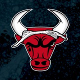 Telegram profile photo for $BULLS PORTAL