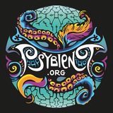 Telegram profile photo for Psybient.org - chillout and ambient music - psybient - psydub psychill