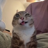 Telegram profile photo for Переходник