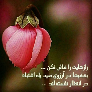 Telegram profile photo for 💔😔یهکدلههزارخوزگه،😔💔