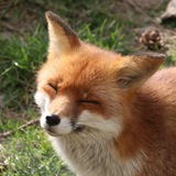 Telegram profile photo for 𝓚𝓪𝓹𝓸𝓭𝓪𝓼𝓽𝓮𝓻'𝓼 𝓲𝓷𝓯𝓸