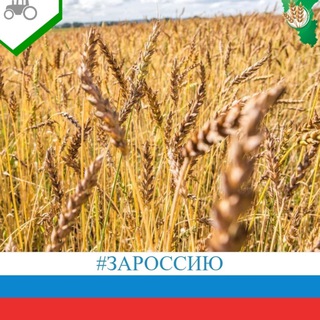 Telegram profile photo for Минсельхоз Кузбасса