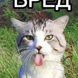 Telegram profile photo for Снова AlgorithmLX