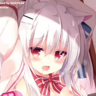 Telegram profile photo for Nekoの杂货铺