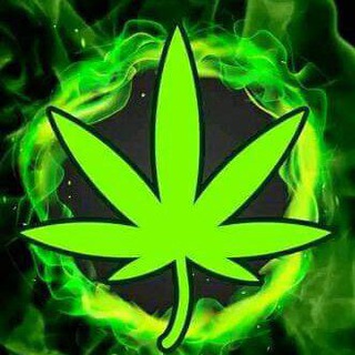 Telegram profile photo for ☠️SATTE ☠️KA ☠️KING ☠️