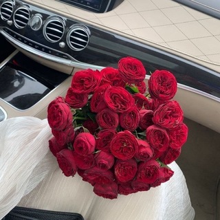 Telegram profile photo for حۡتعديۧ.