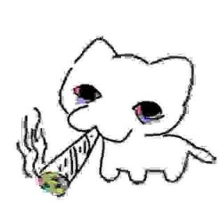 Telegram profile photo for m