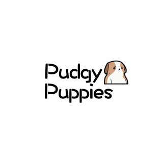 Telegram group profile photo for Pudgy Pups
