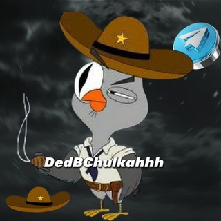 Telegram profile photo for molodoi pupsikk
