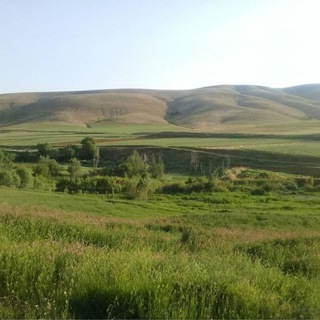 Telegram profile photo for کانال رسمی "قرینه دره"