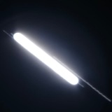 Telegram profile photo for Aphelion