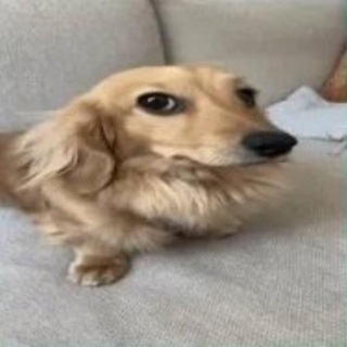 Telegram profile photo for wxqwbase | переходник
