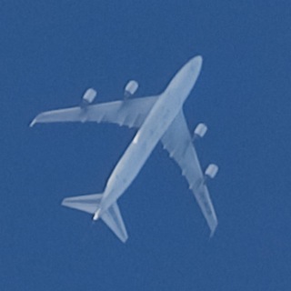 Telegram profile photo for Mojjss Aviation