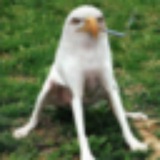 Telegram profile photo for Smoking Eagle Dog