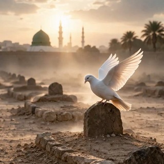 Telegram profile photo for قدوتي فاطمة