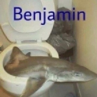 Telegram profile photo for GREY.JPEG