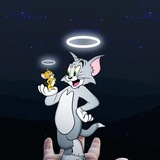 Telegram profile photo for CTR