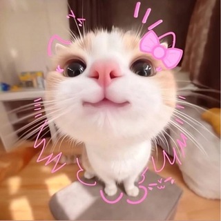 Telegram profile photo for chubby.